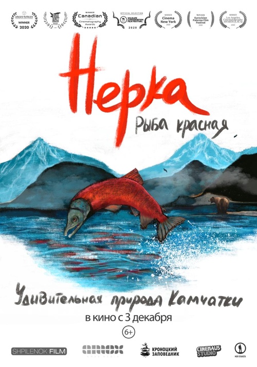 Нерка. Рыба красная