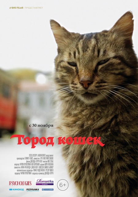 Кеди. Город кошек